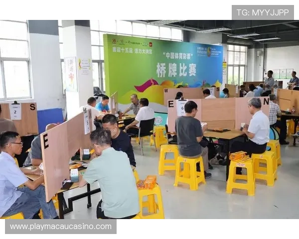 澳门彩票有限公司官方网站每日开奖数据实时更新确保公众信息的透明与公正
